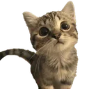 LalaCutey