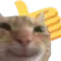 catyes catyes