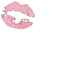 c_kiss