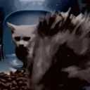 lol