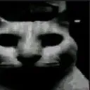horror