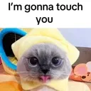 touchy