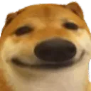 doggochill