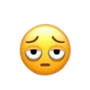 IMG_9830removebgpreview