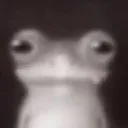 sadfrog