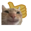 Cat_smilling