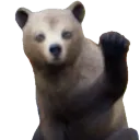 teddyhi
