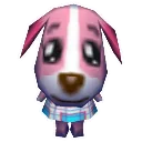 Cookie_Stare