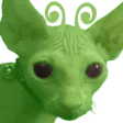 Glorprawn