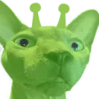 Glorpmo