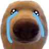 cri