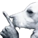 shhh