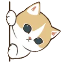 catsneaknf2u
