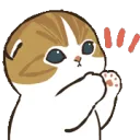 catpatnf2u