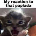 my_reaction_to_that_papiada