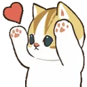 catkissnf2u catkissnf2u