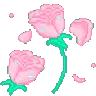 pinkflower