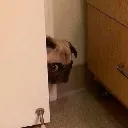peek