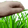 pat_grass