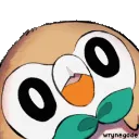 RowletConfused