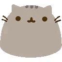 Y_pusheenstare