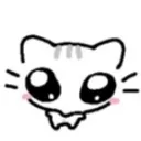1_catstare