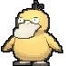 psyduckwhy