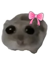 coquette_sho_sadness_overload