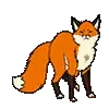foxdanceorange