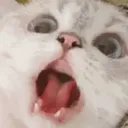 CE_SCREAMMMMMM4 CE_SCREAMMMMMM4