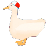 duckspin