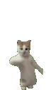 catdance
