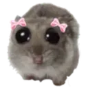 sadhampter