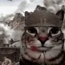 warcat