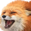 FD_FoxLaugh
