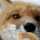 FoxNom