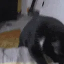 insane