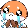 FD_FoxCrying