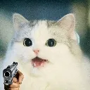 catgun