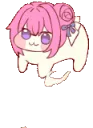 dorocoom