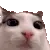 plink