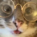 nerd
