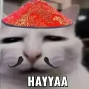 CatHAYYA