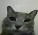ca