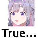 BibooTrue BibooTrue