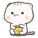 catpopcorn catpopcorn