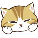 catgigglenf2u