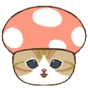 catmushroomnf2u
