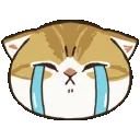 catcrynf2u