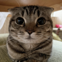 excuseme Discord emoji
